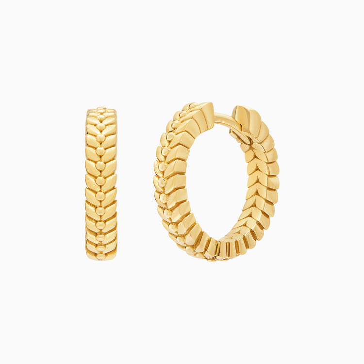 Alloro Hoop Earrings, Yellow Gold